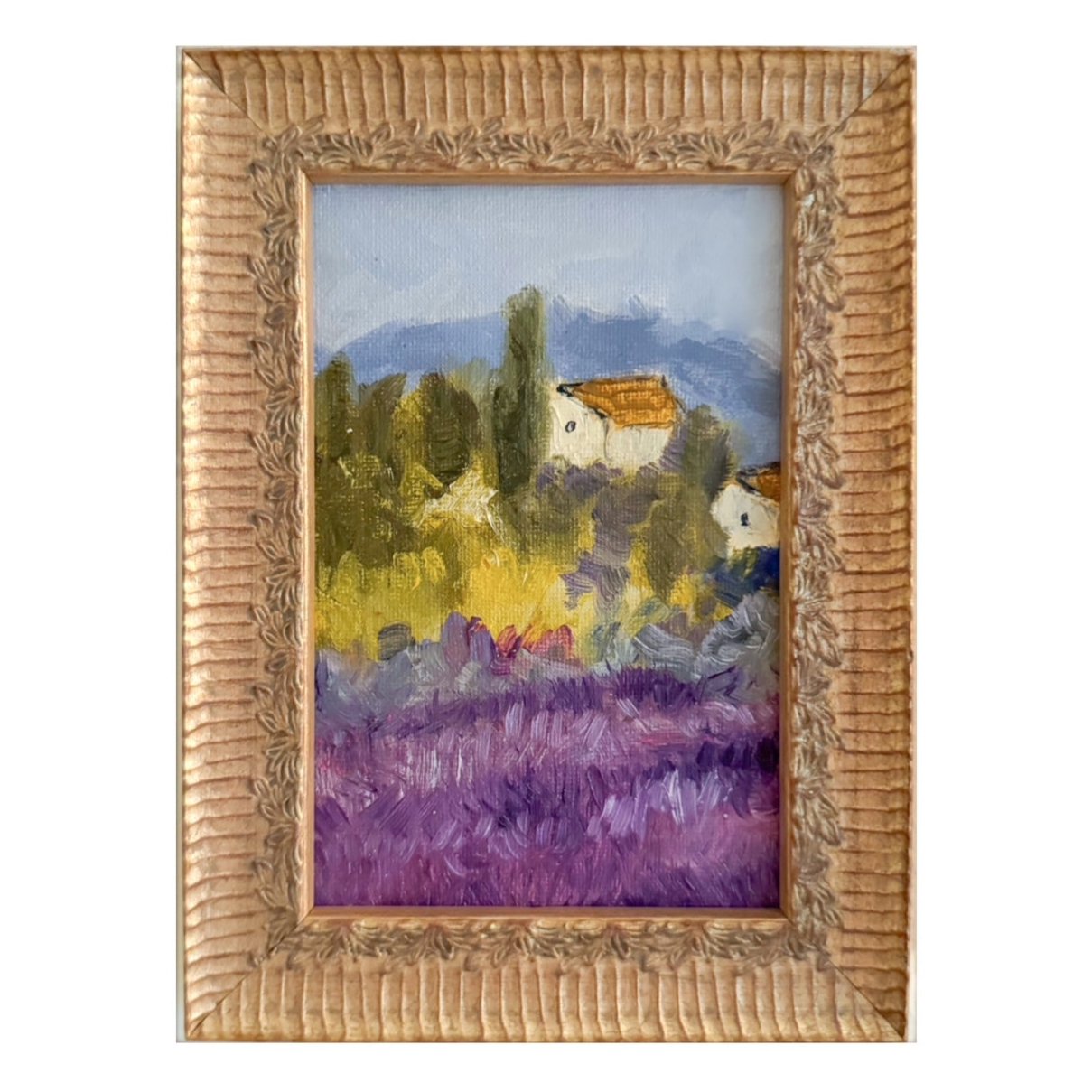 Lavender Field