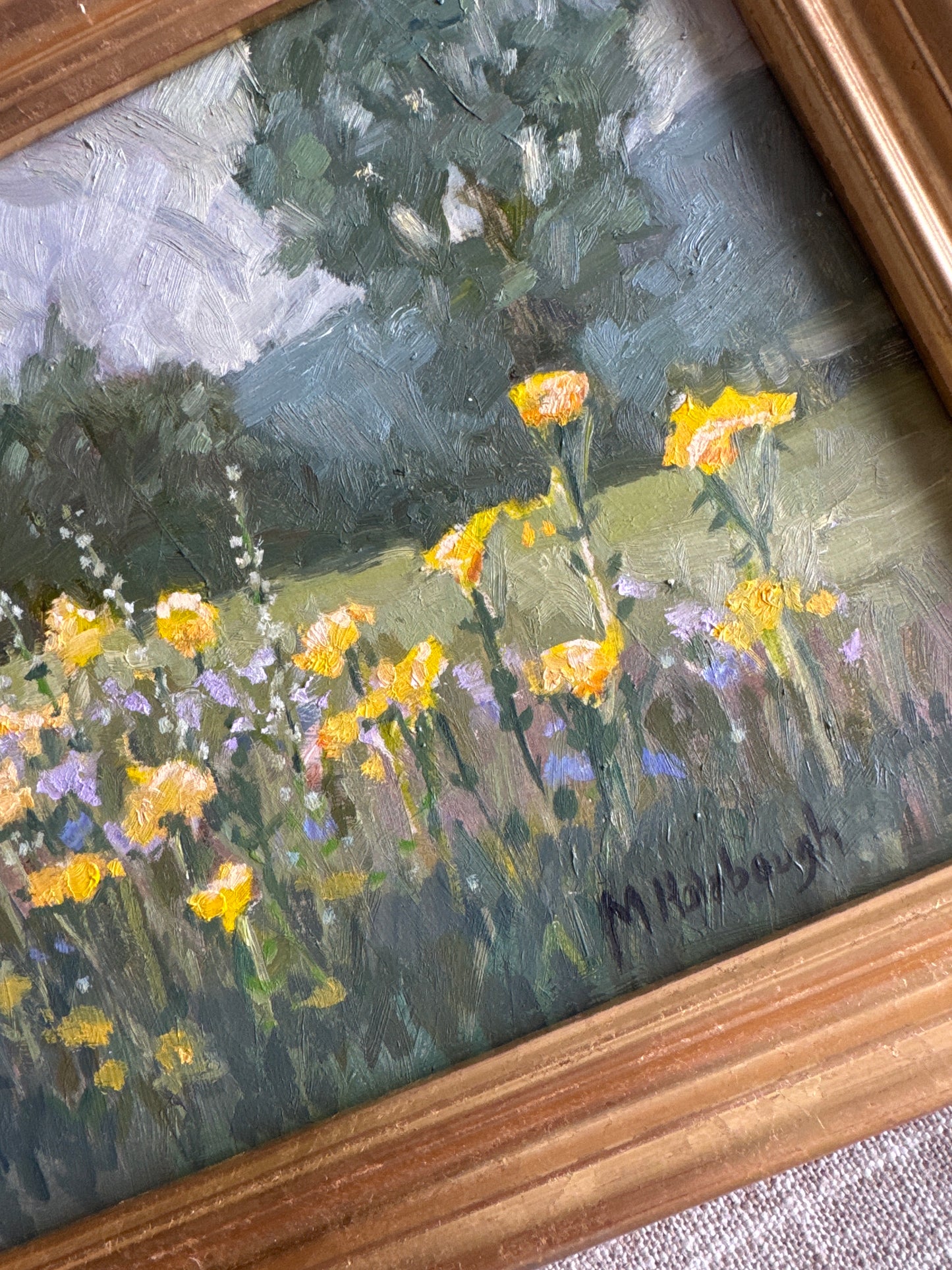 Field of Flowers