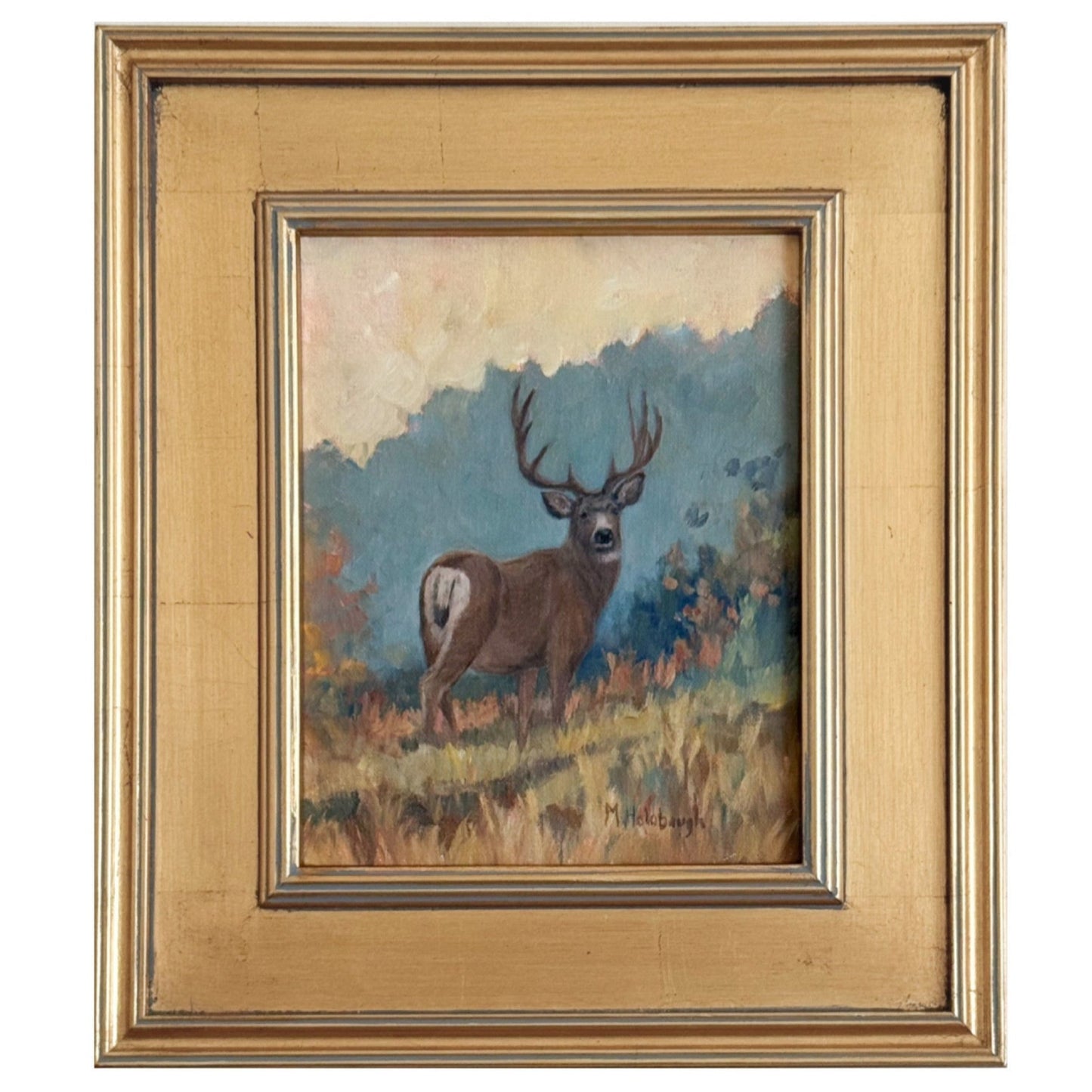 Buck in the Forest
