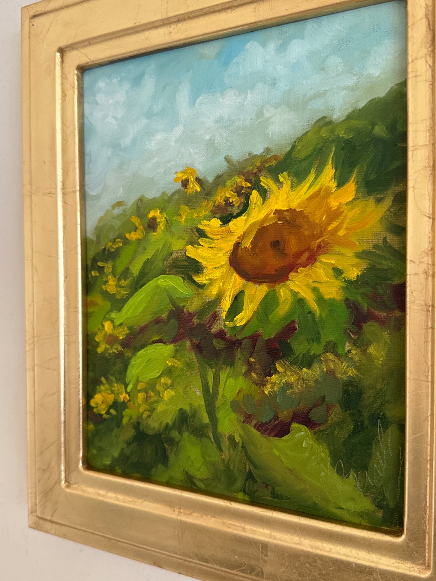 Sunflowers