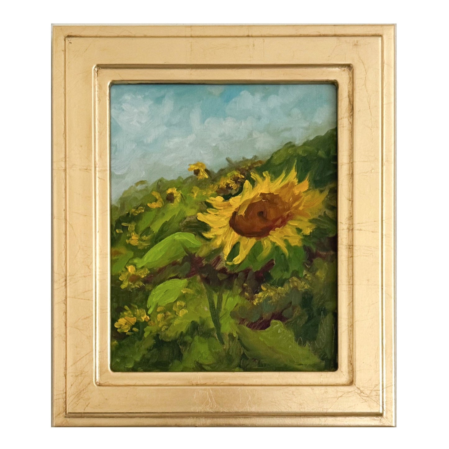 Sunflowers