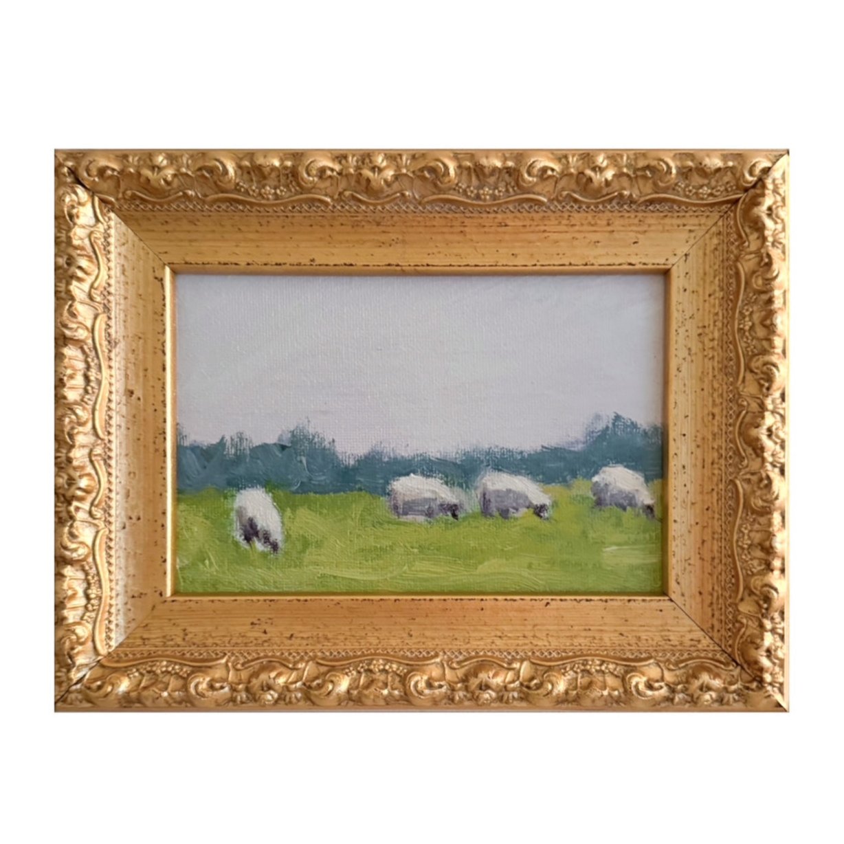 Grazing Sheep