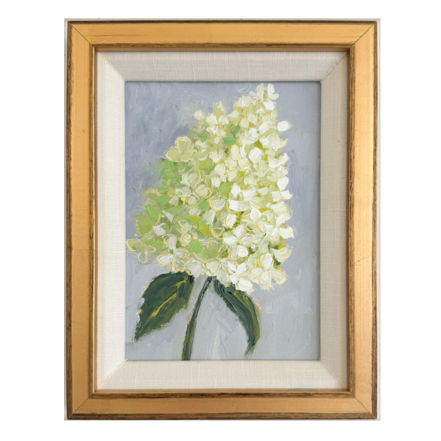 Hydrangea Stem