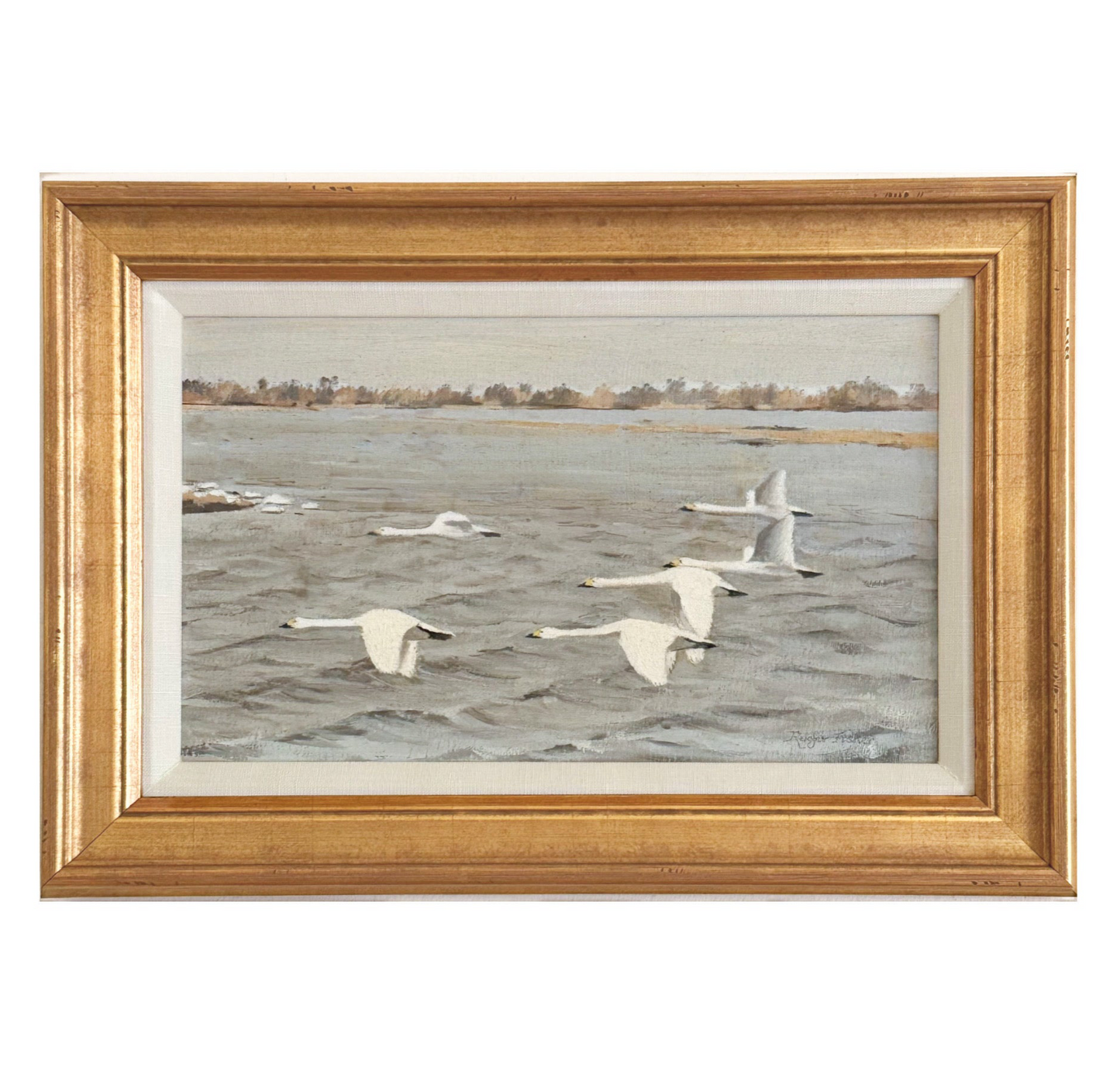 Swans Crossing