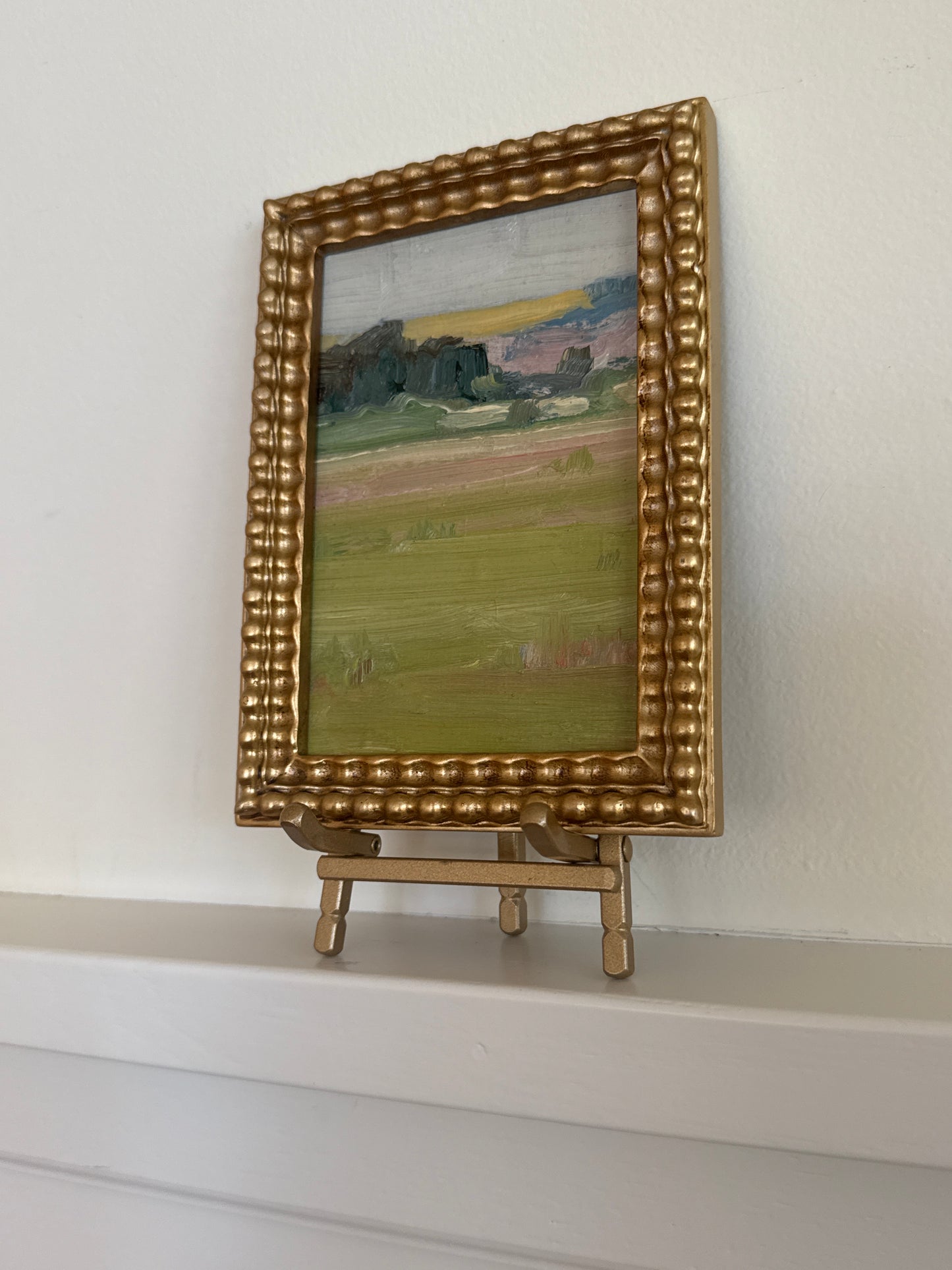 Devon Mini