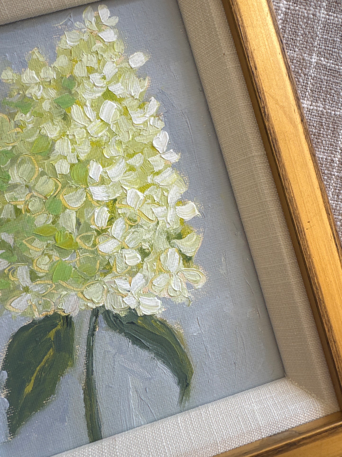 Hydrangea Stem