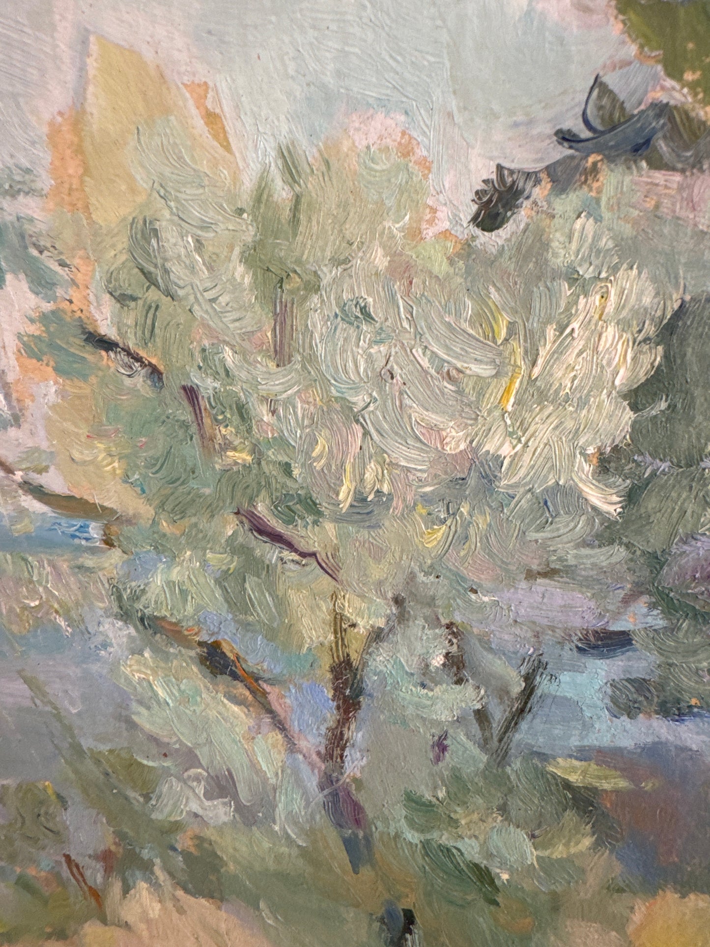 Waterfront Trees