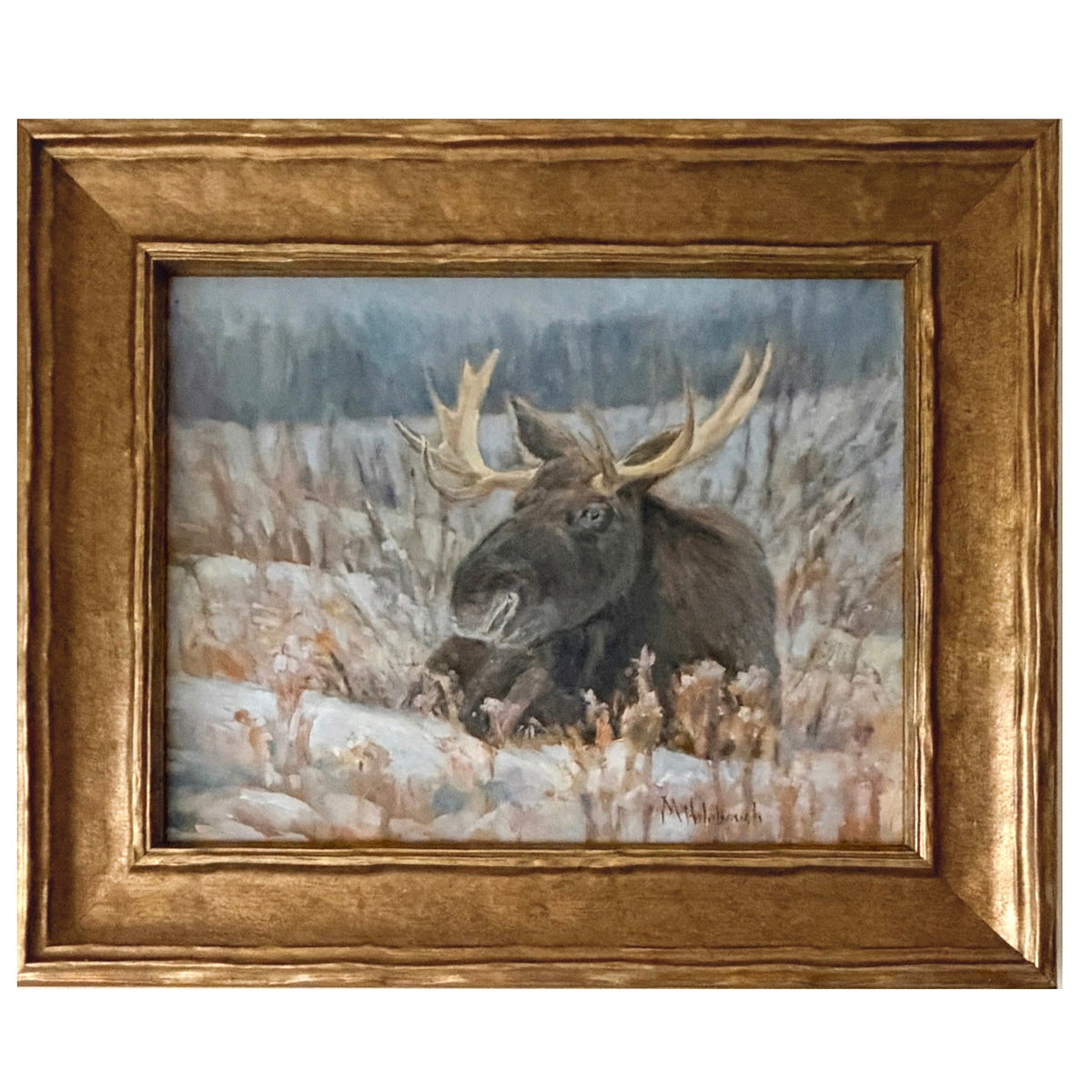 Winter Moose