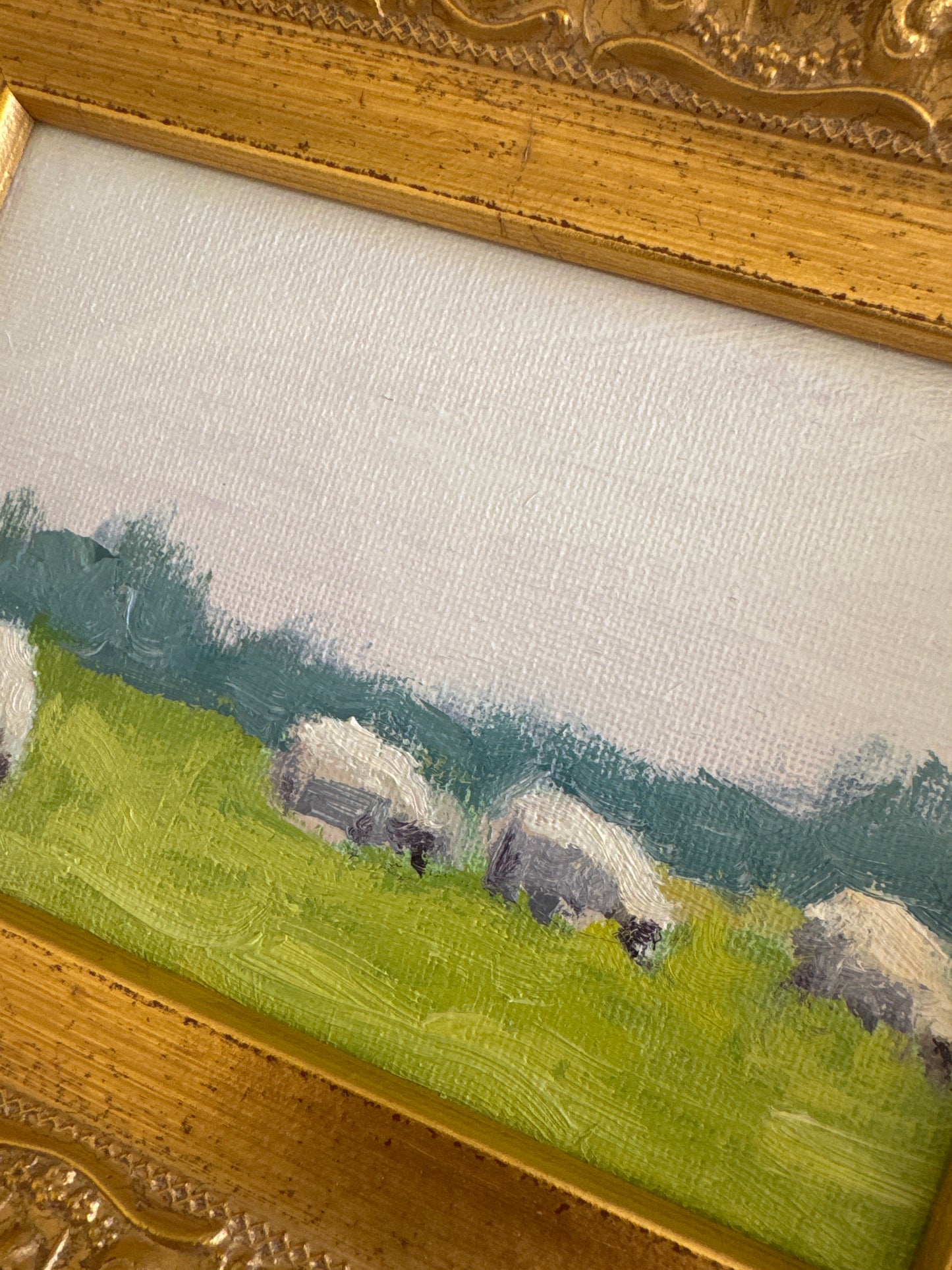 Grazing Sheep