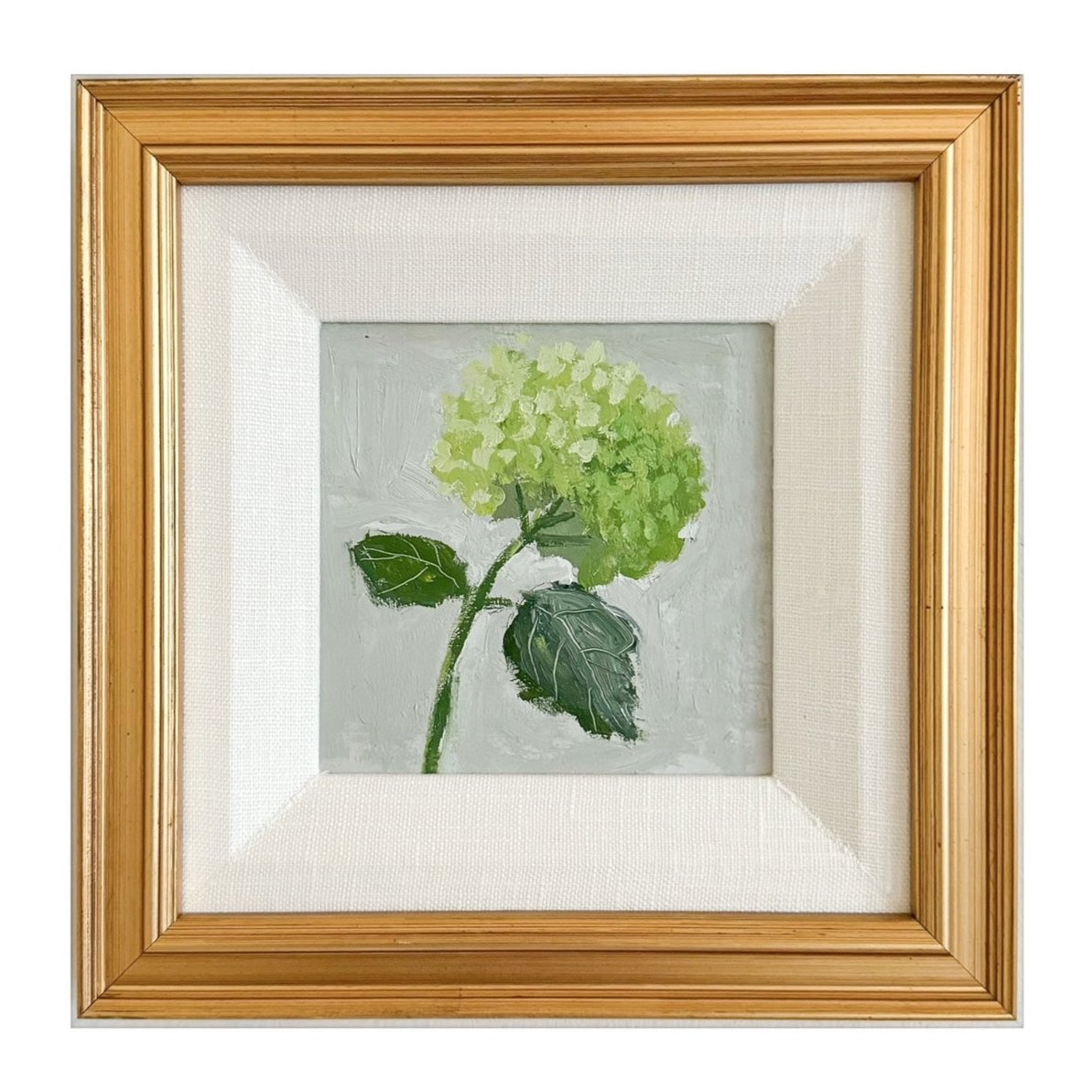 Hydrangea I