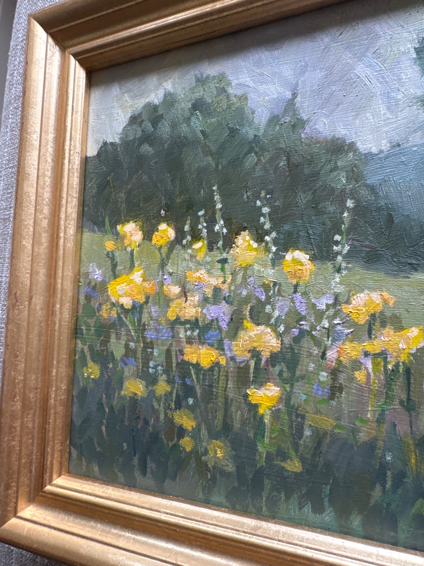 Field of Flowers