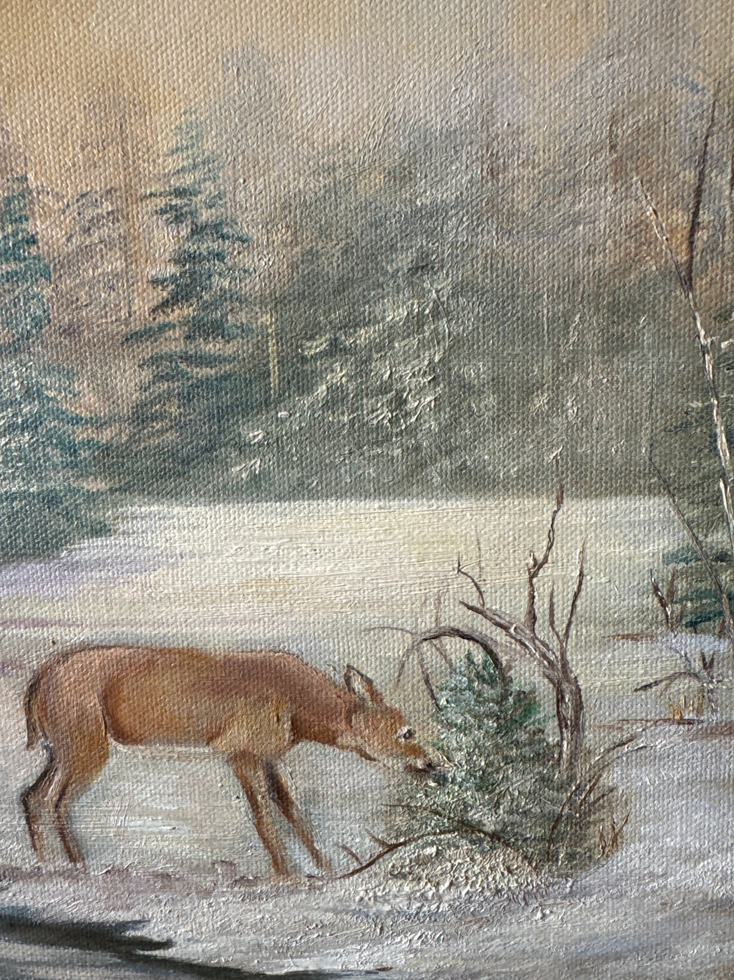Buck & Doe