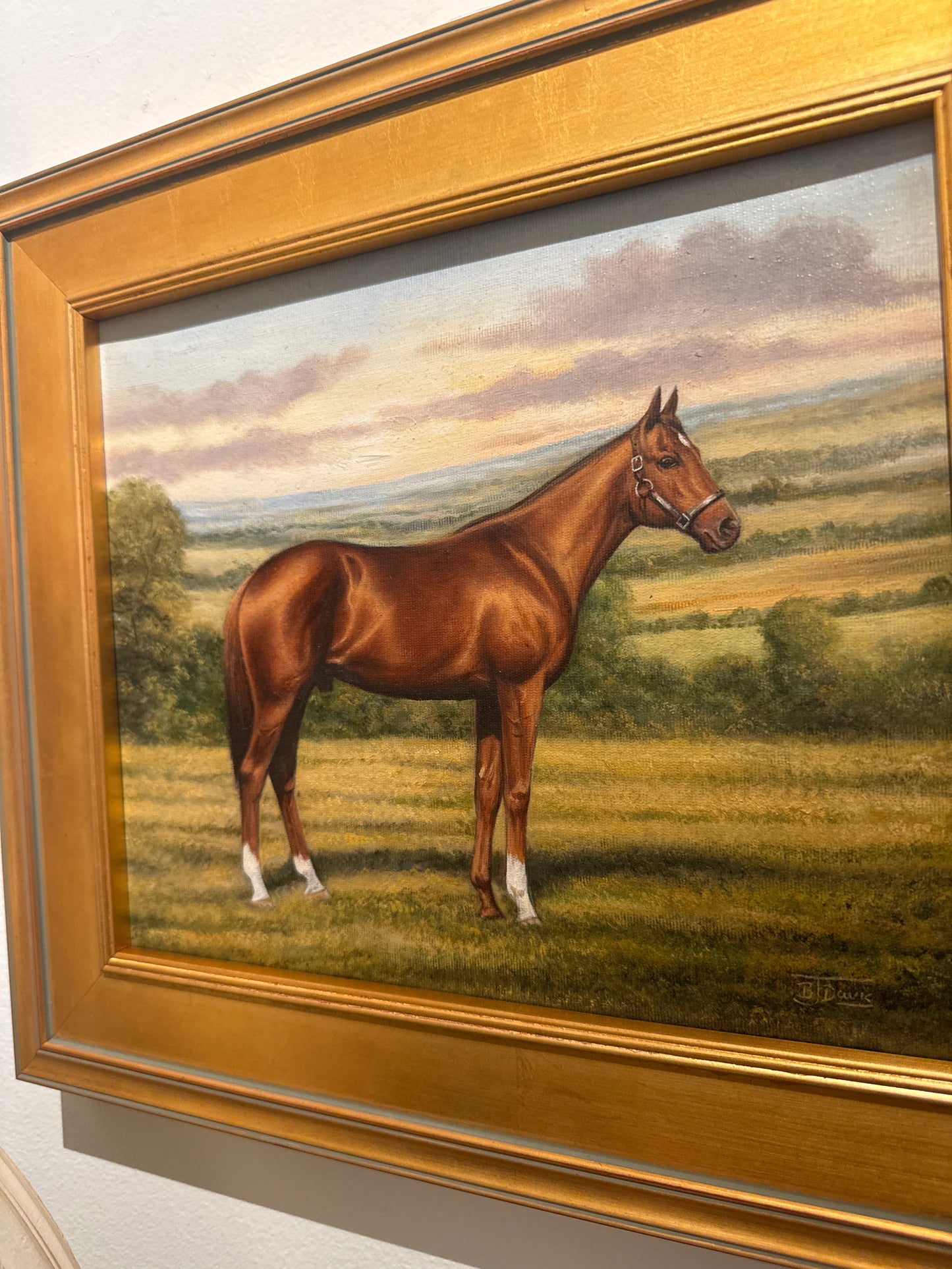 Thoroughbred