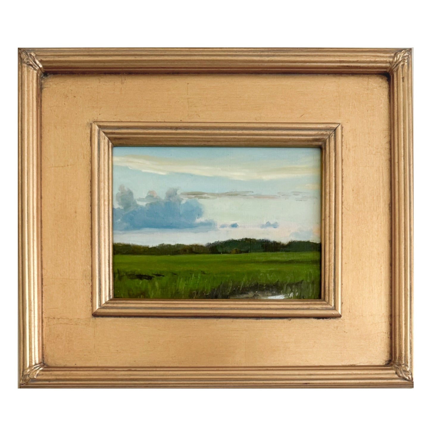 Green Landscape