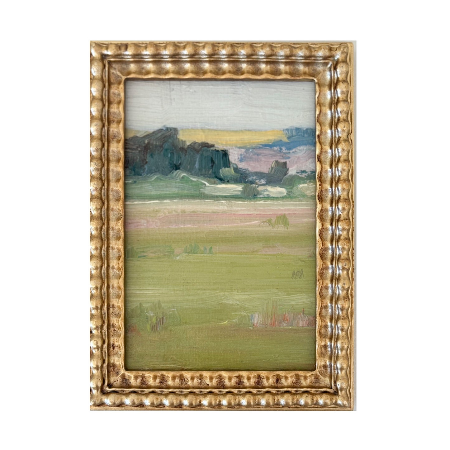 Devon Mini