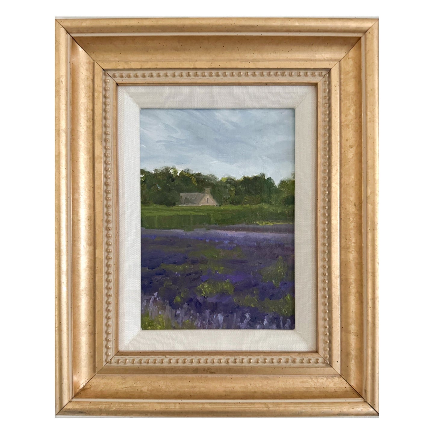 Lavender Field