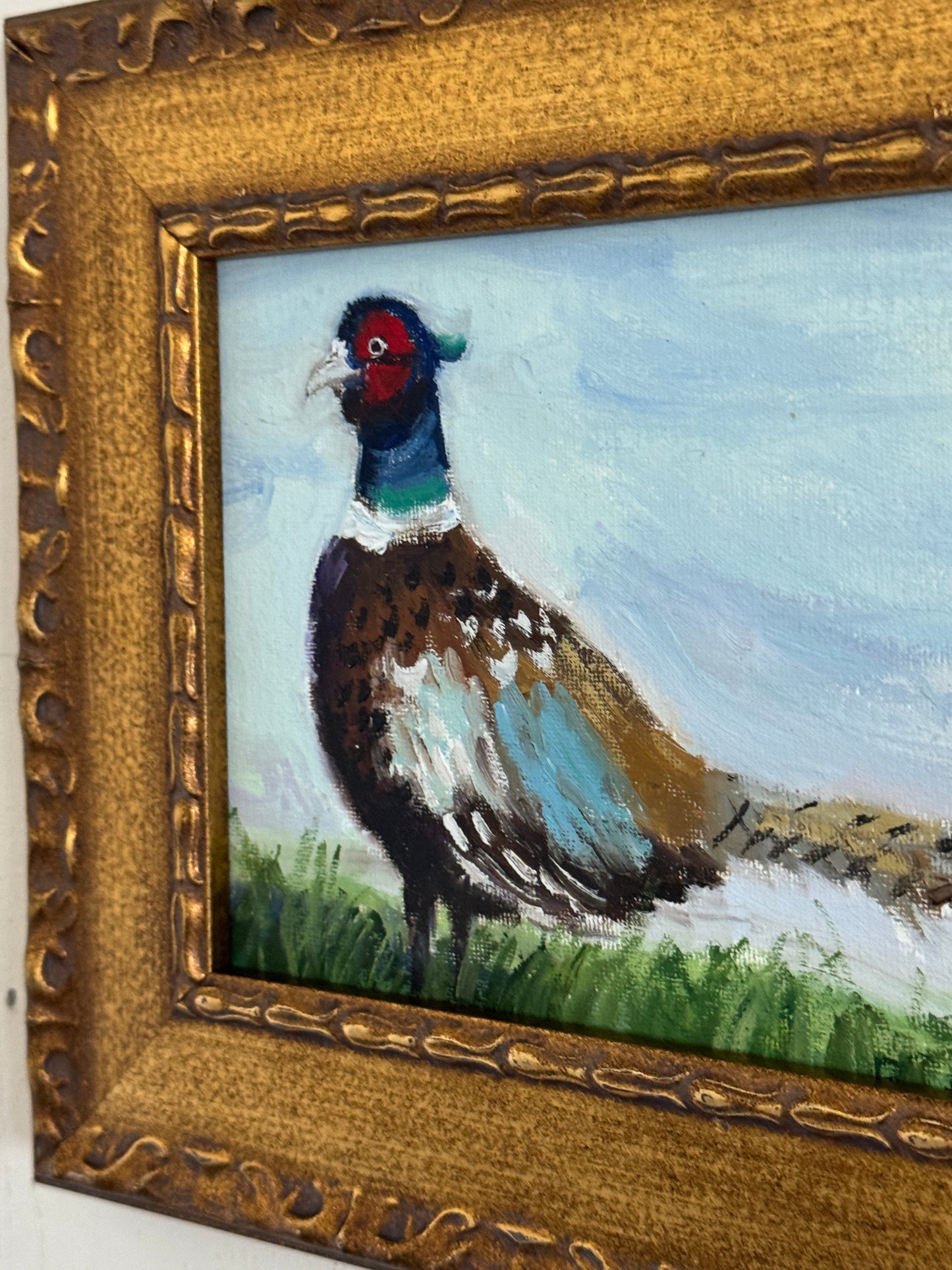 Pheasant