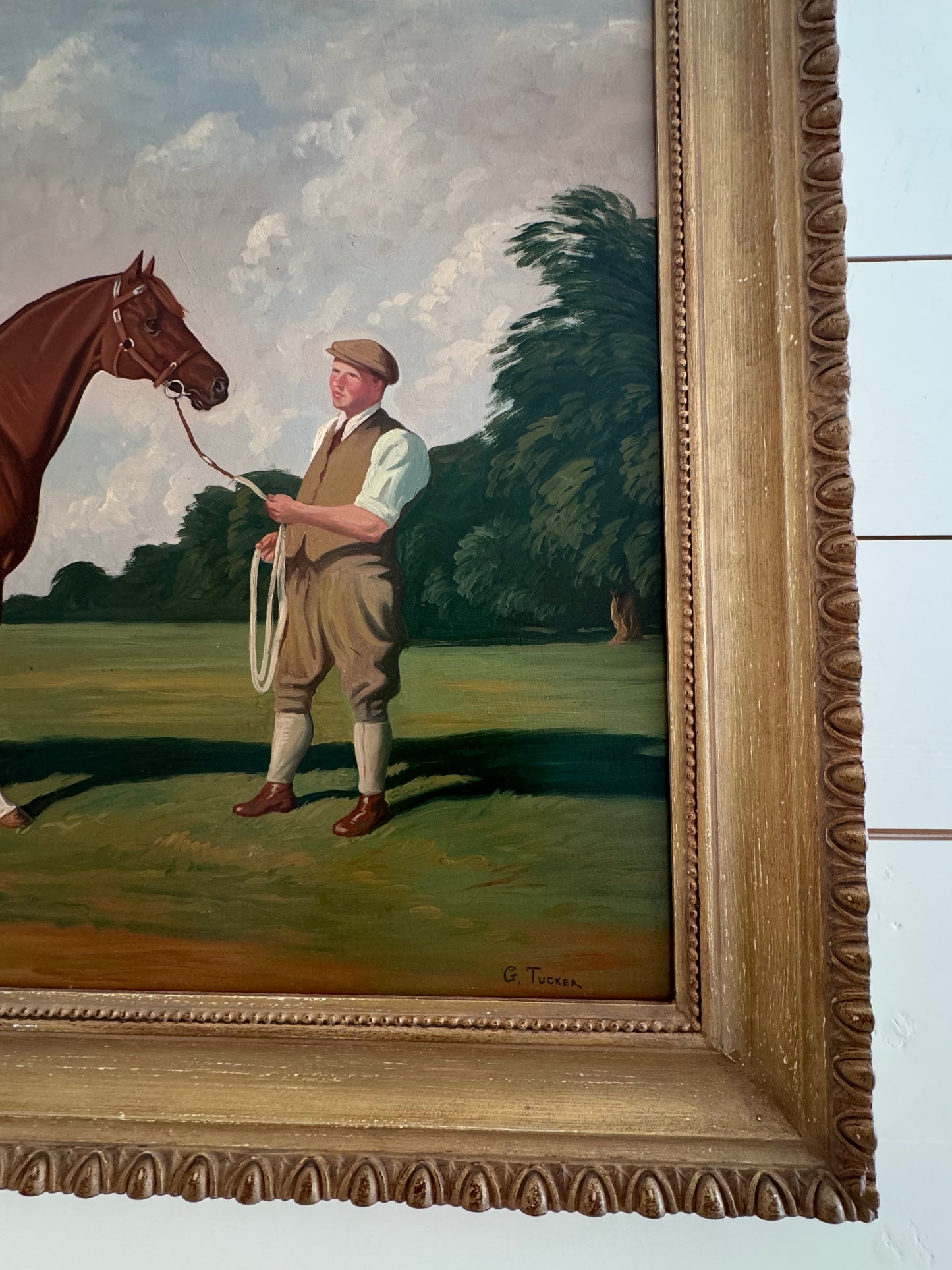 Thoroughbred