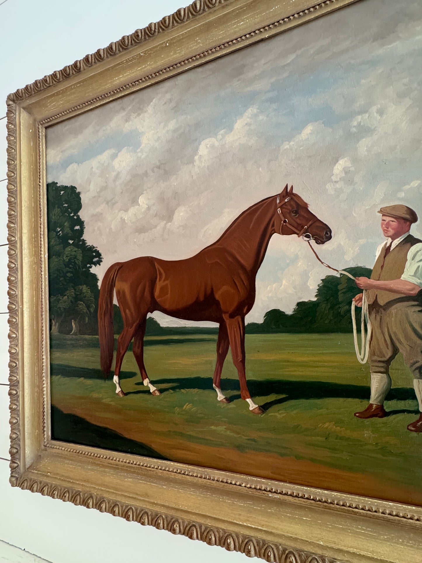 Thoroughbred