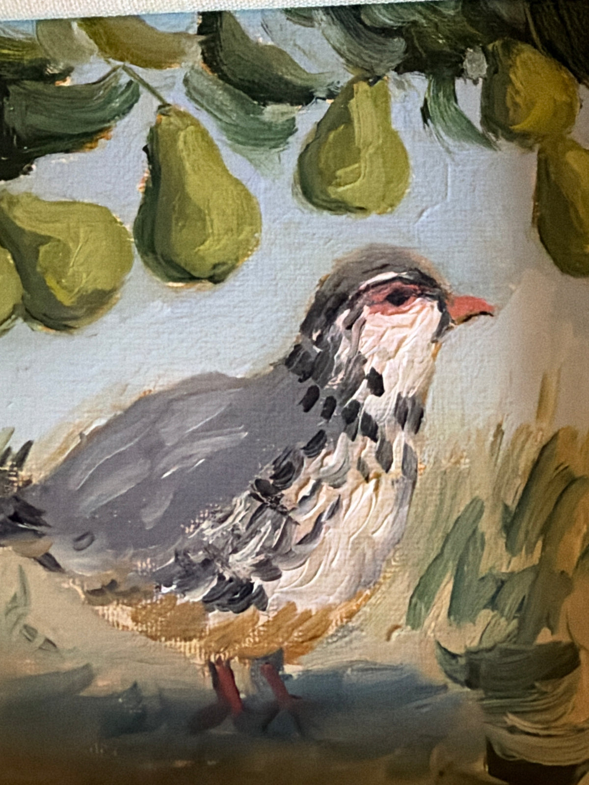Partridge in a Pear Tree