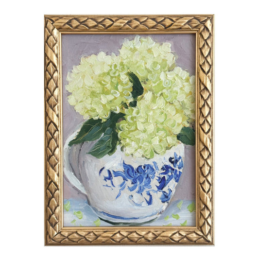 Hydrangea Mini