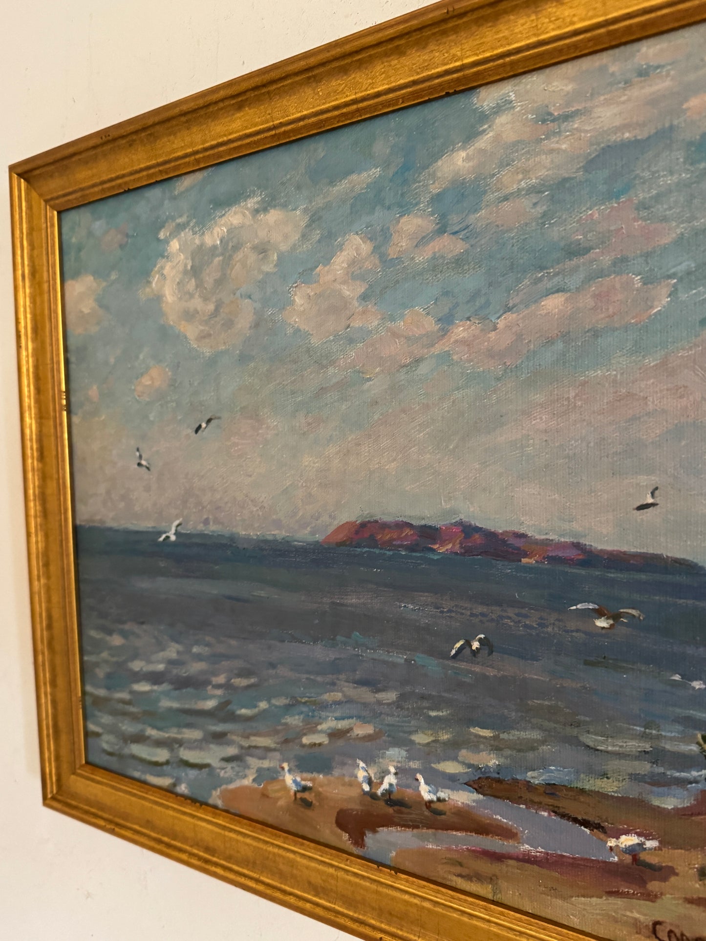 Seagull Seascape