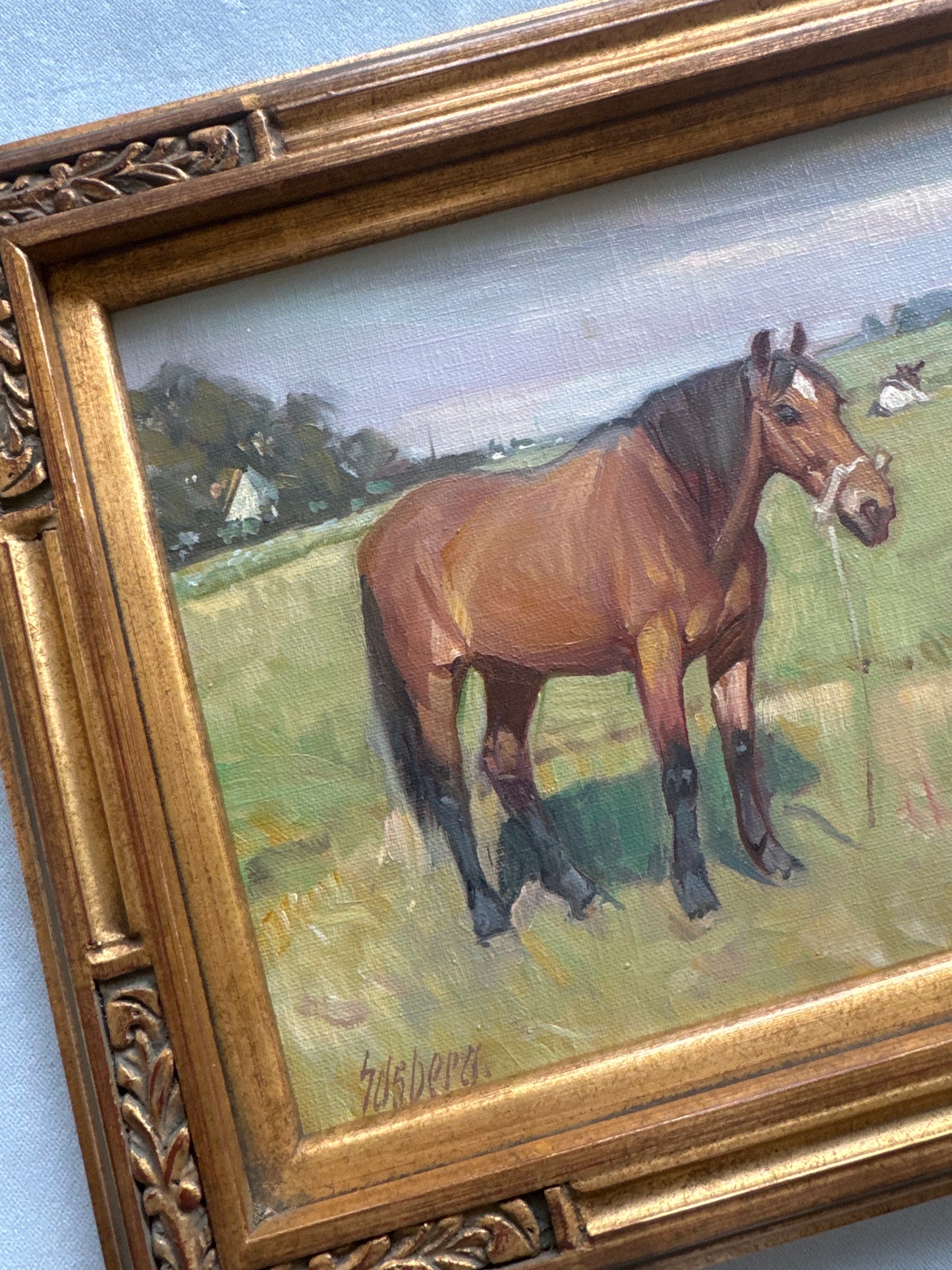 A Boy & His Horse