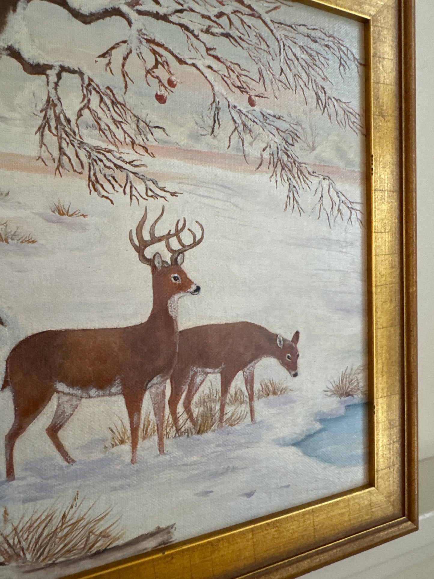 Winter Deer