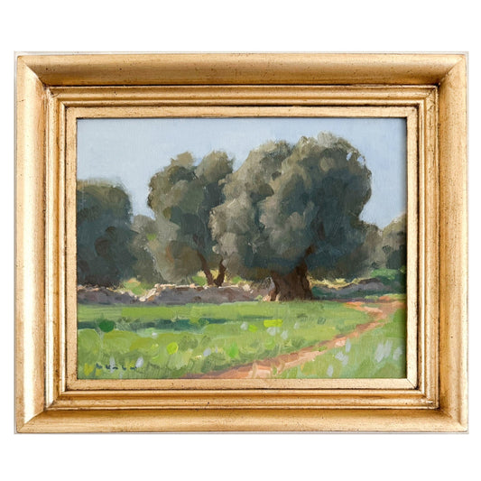 Olive Trees