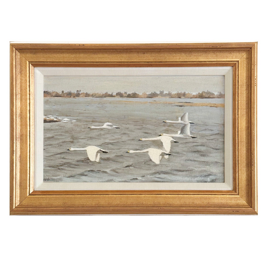 Swans Crossing