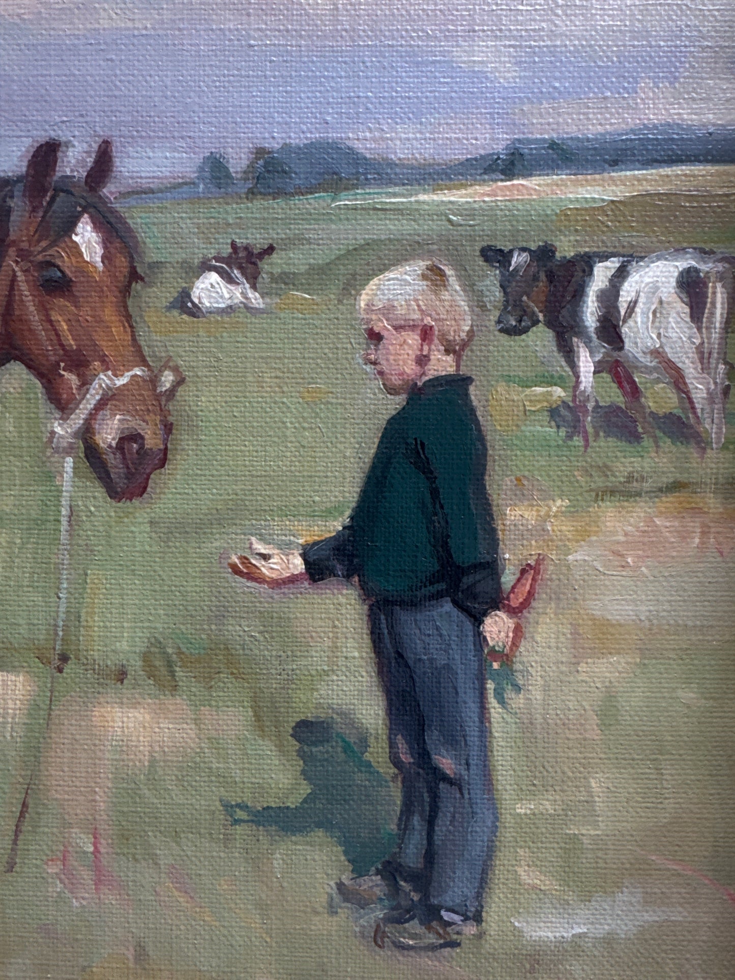 A Boy & His Horse