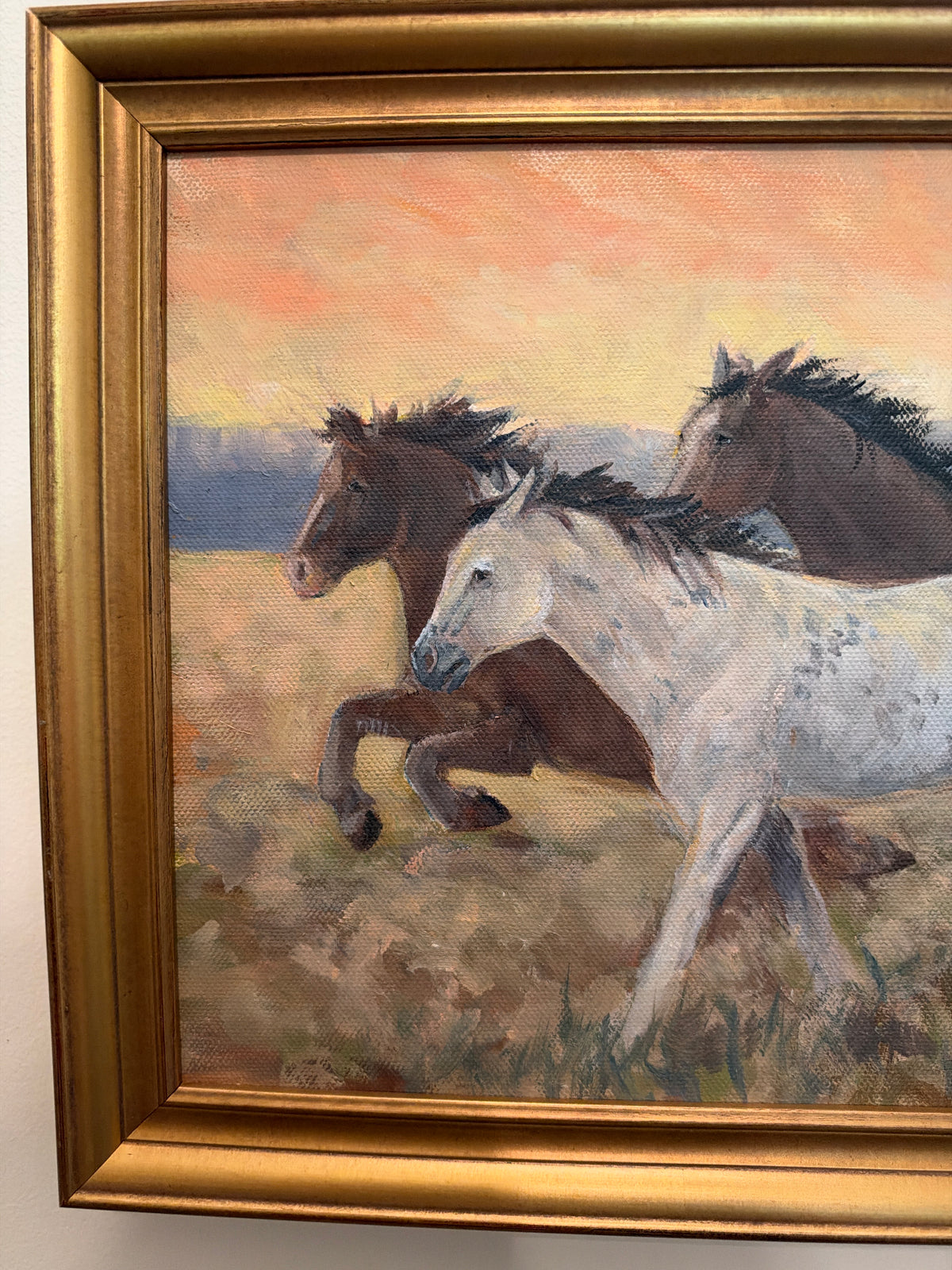 Wild Horses