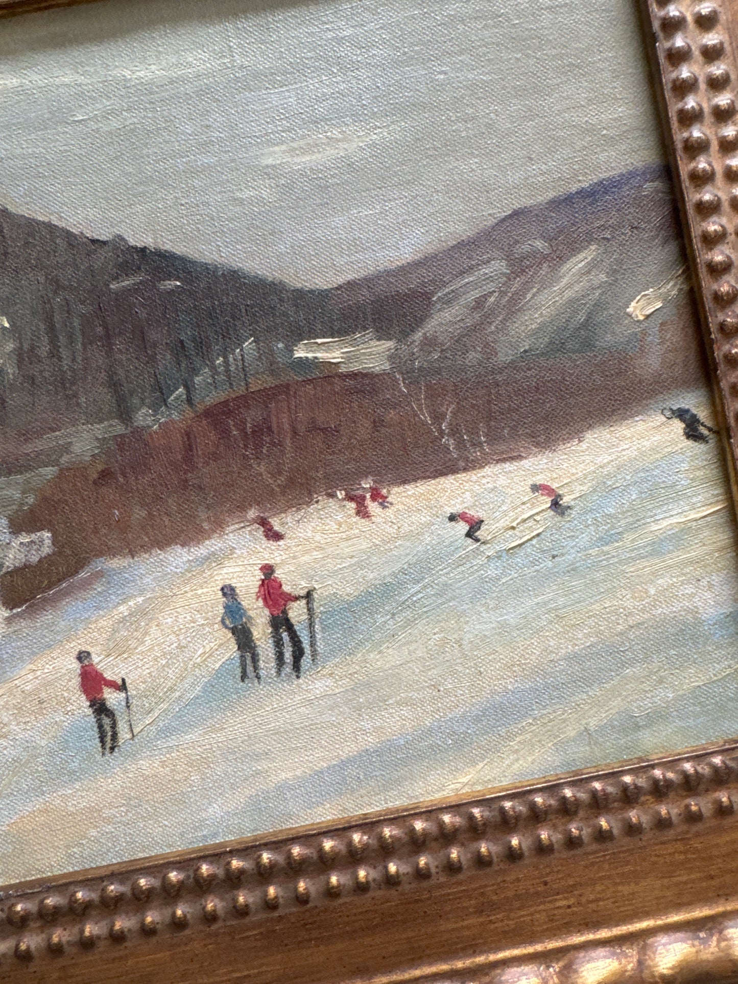 Alpine Skiers