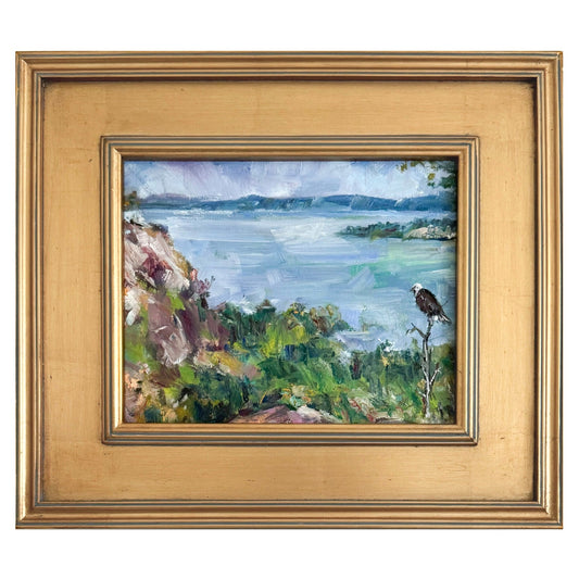 Eagle’s Domain
