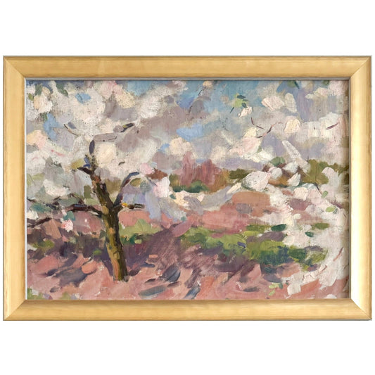 Cherry Blossoms