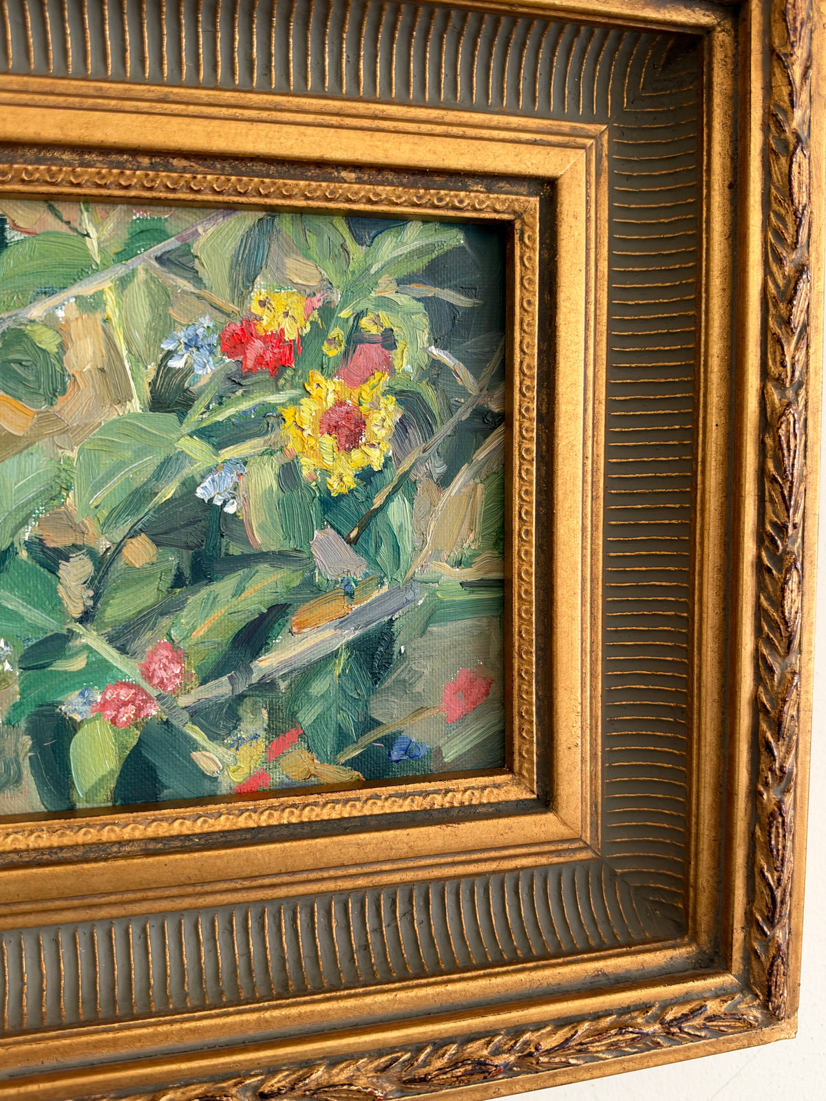 Glimpse of the Vine