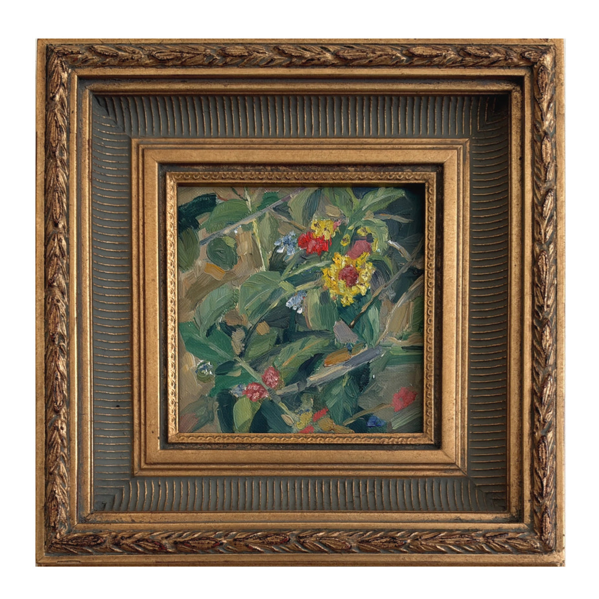 Glimpse of the Vine