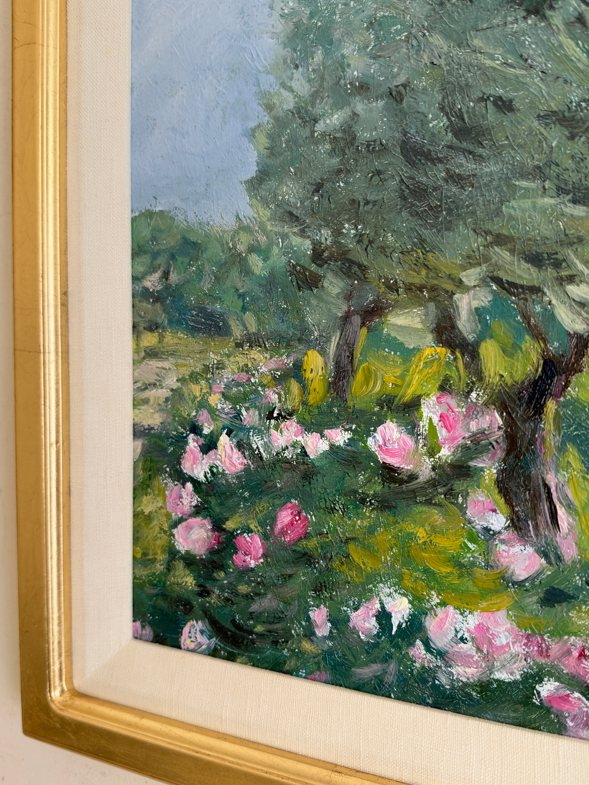 Summer in Provence