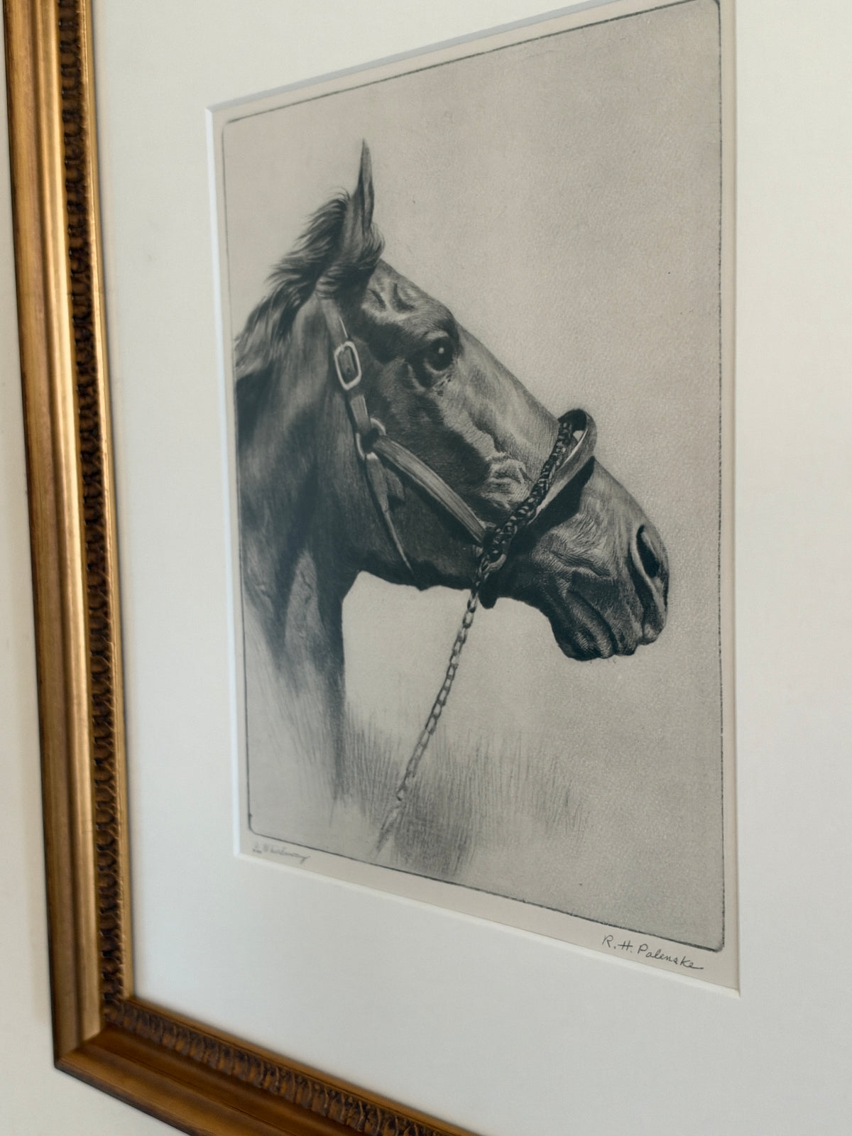 Horse Etching