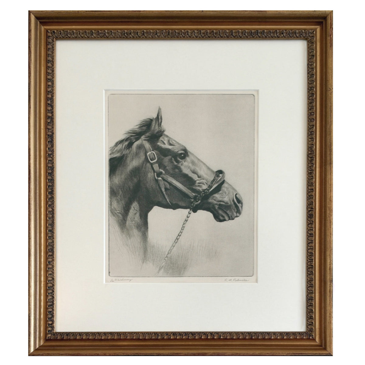 Horse Etching
