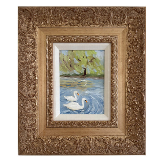 Summer Swans