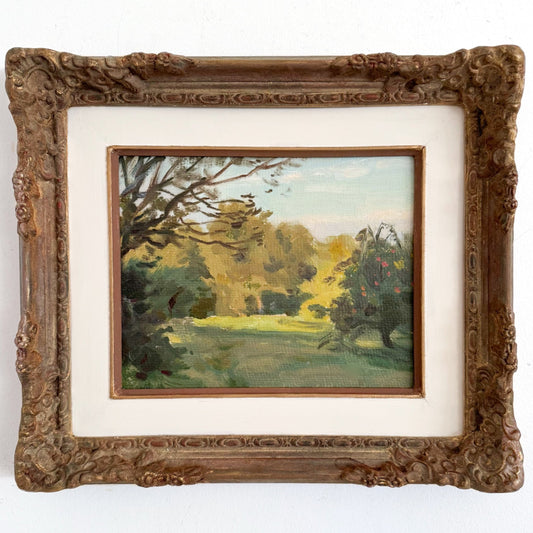Grove Landscape