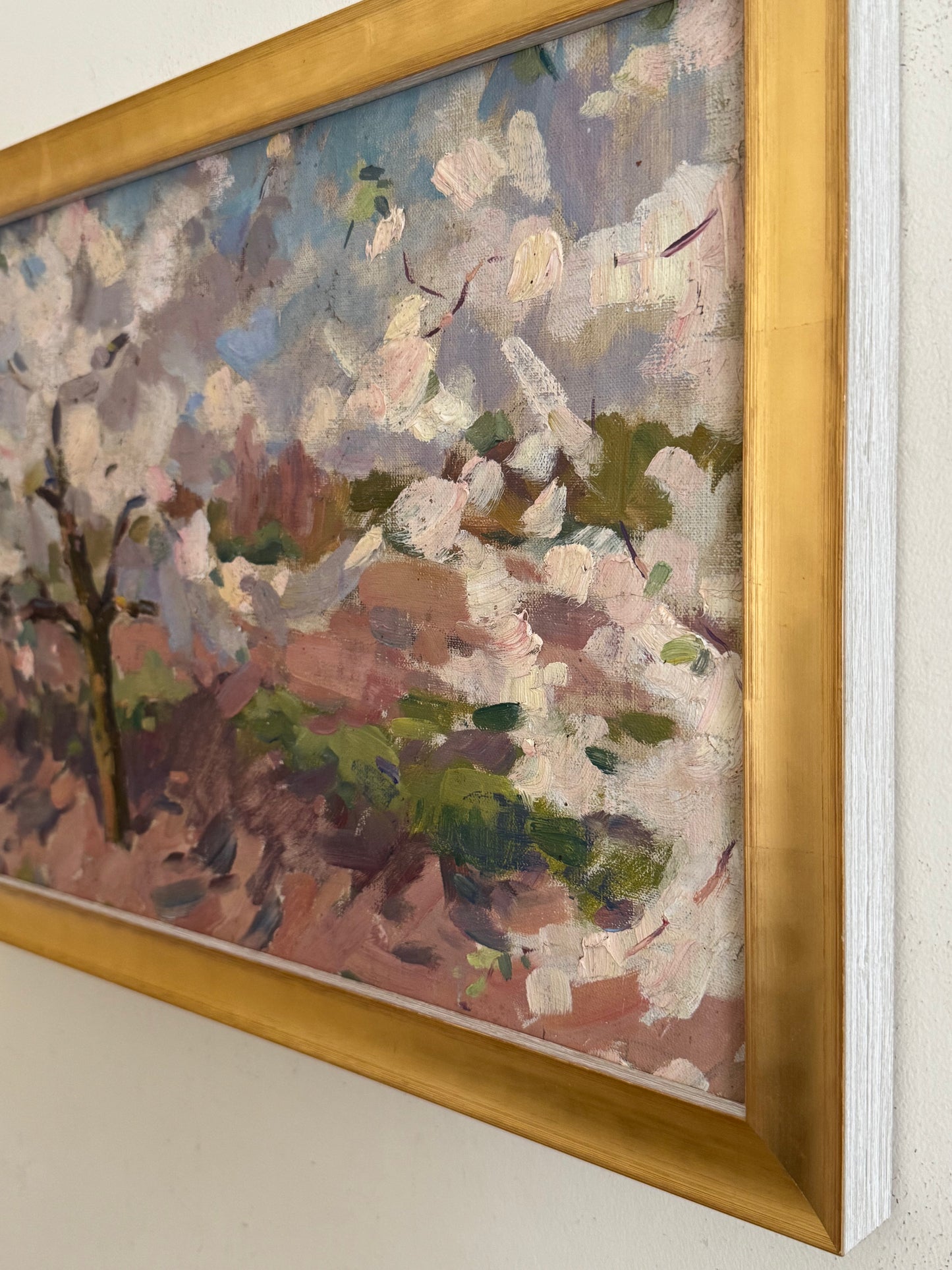 Cherry Blossoms