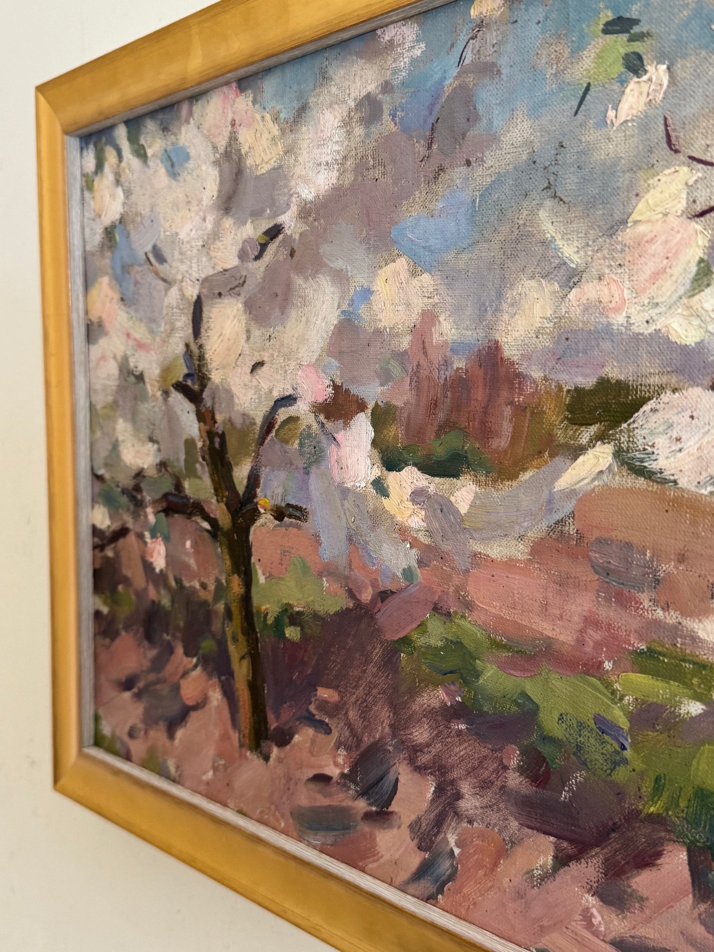 Cherry Blossoms