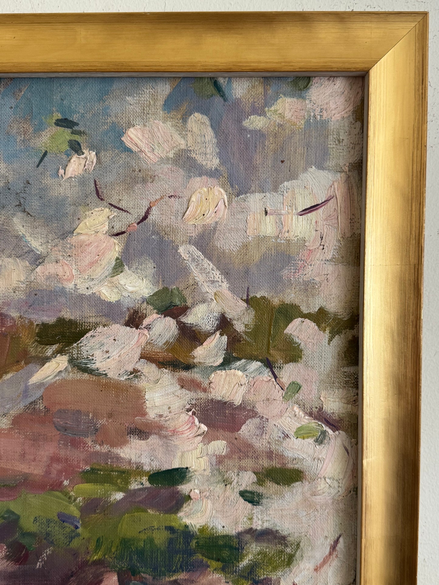 Cherry Blossoms