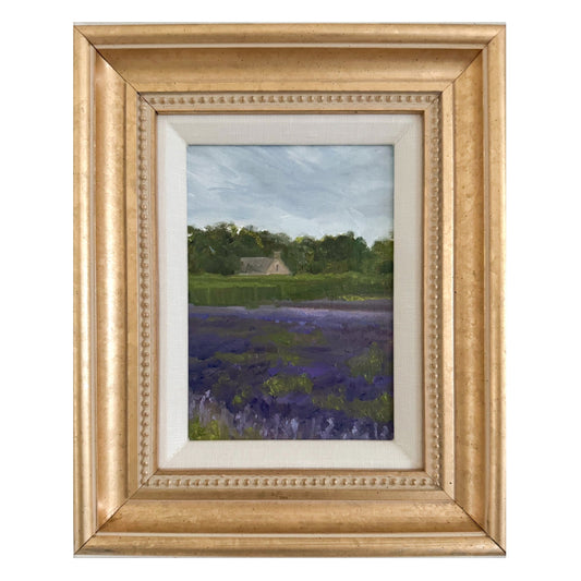Lavender Field