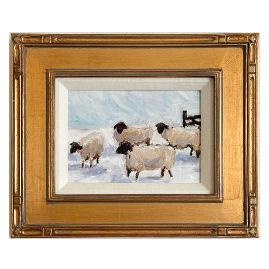 Northern Sheep