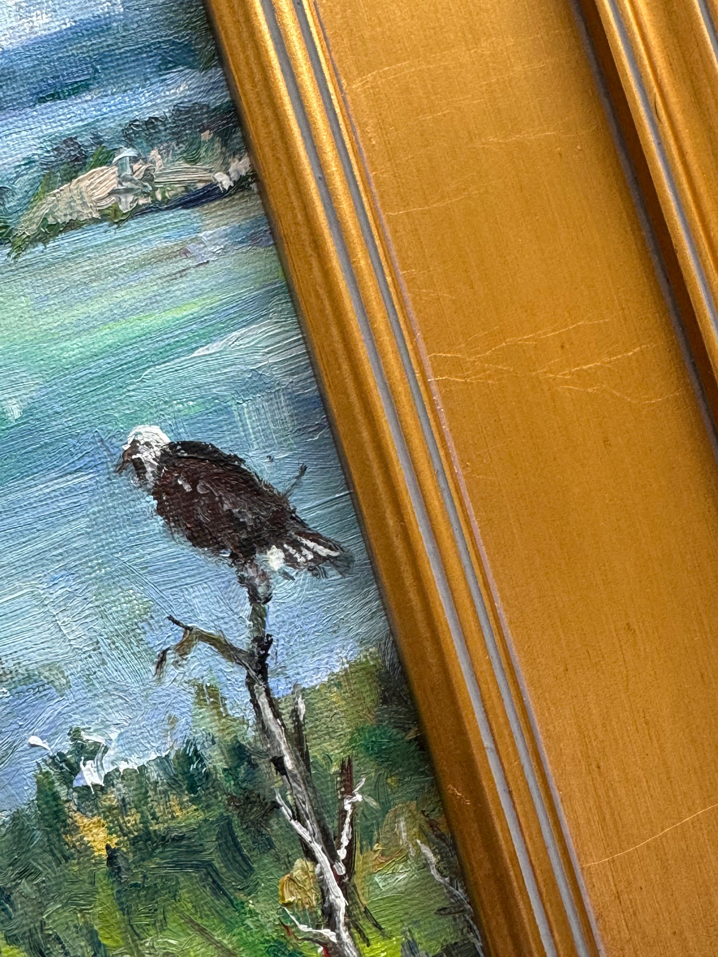 Eagle’s Domain