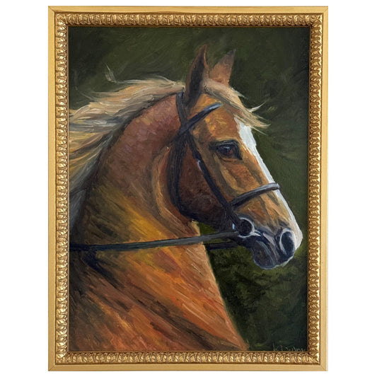 Portrait of a Horse